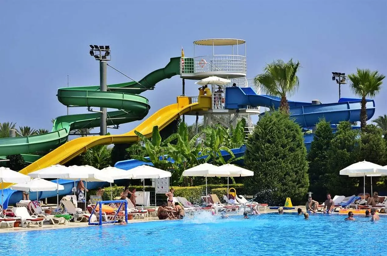 MIRACLE_SHABAVIZ (36).jpg